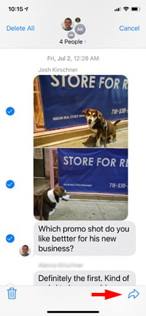 Screenshot of text messages showing dog photos and text with checkmarks next tow three items. The arrow in the lower right corner is pointed out.