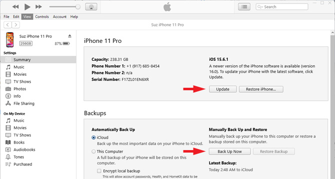 Screenshot of iTunes iPhone backup. On the right under the phone type there is a box showing the current version of iOS and a button with the text check for update, which is pointed out. In the box entitled Backups underneath, in the right column there is an option to manually back up and restore. In that section the button to back up of now is highlighted.
