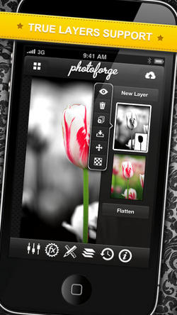 PhotoForge2