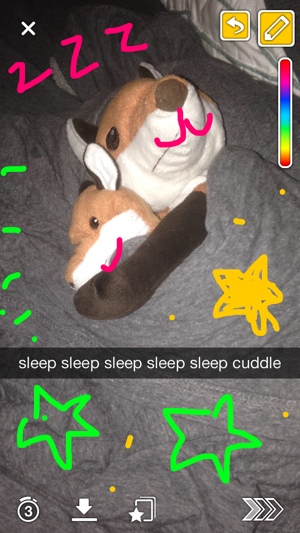 Snapchat screenshot of stuffed animals (Rars)