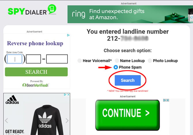 Screenshot of Spydialer site showing the correct blue search button