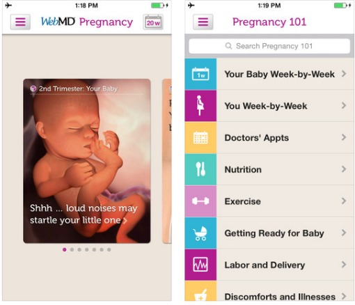 WebMD Pregnancy